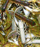 4" Chewin' Craws