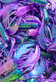 4" Chewin' Craws