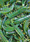 4" Chewin' Craws