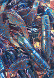 4" Chewin' Craws