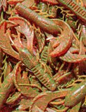 4" Chewin' Craws
