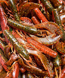 4" Chewin' Craws
