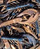 4" Chewin' Craws