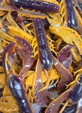 4" Chewin' Craws
