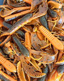 4" Chewin' Craws