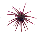TMO Mutant